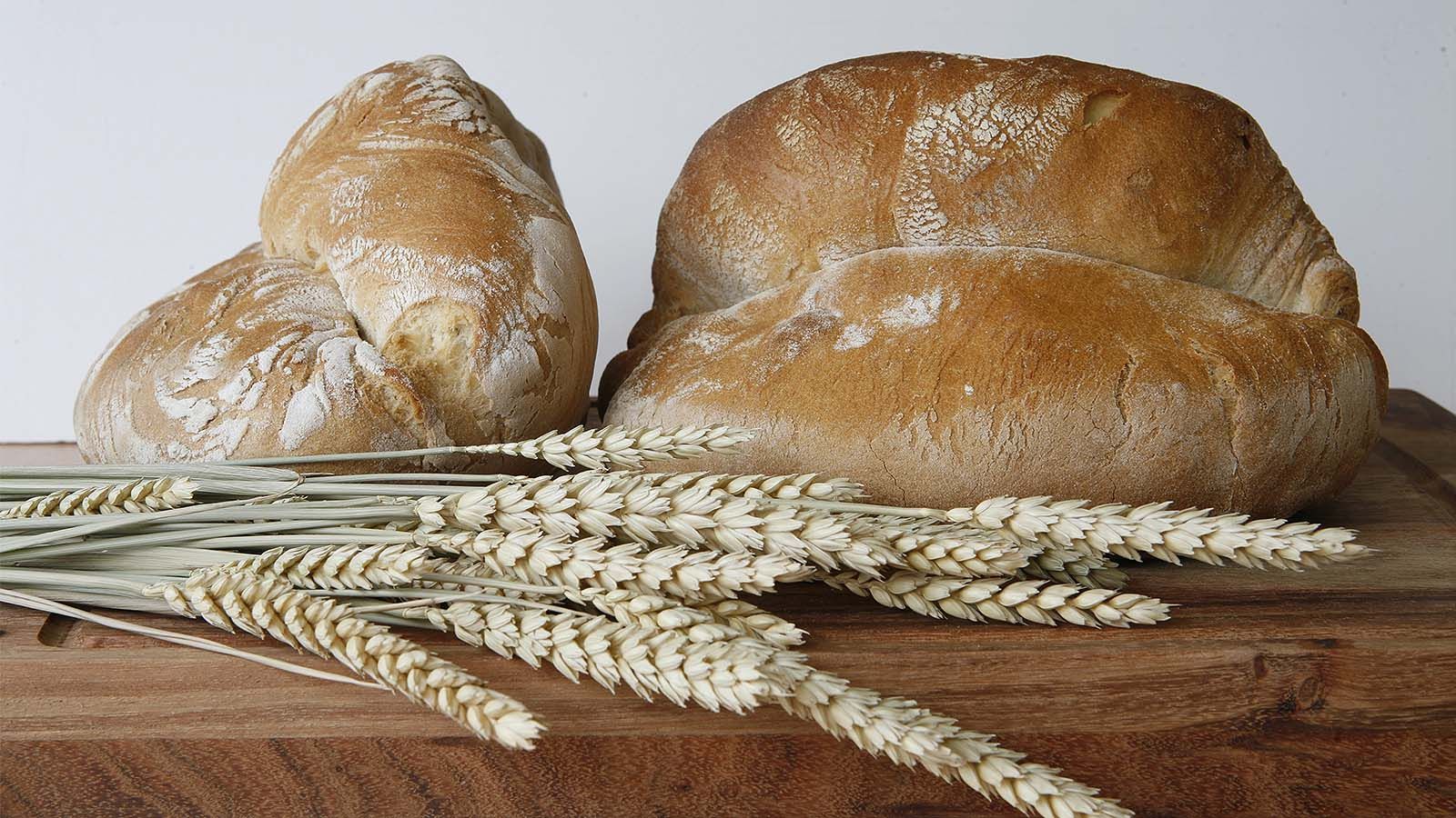 panaderia pan caserio